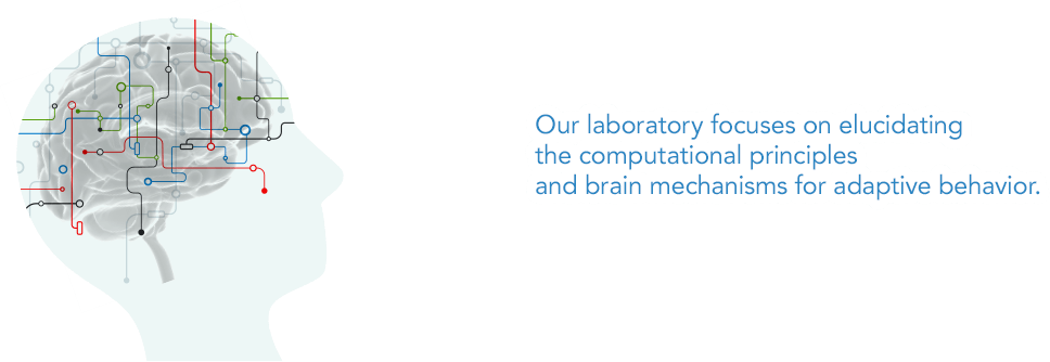 Our laboratory focuses on elucidating the computational principles and brain mechanisms for adaptive behavior