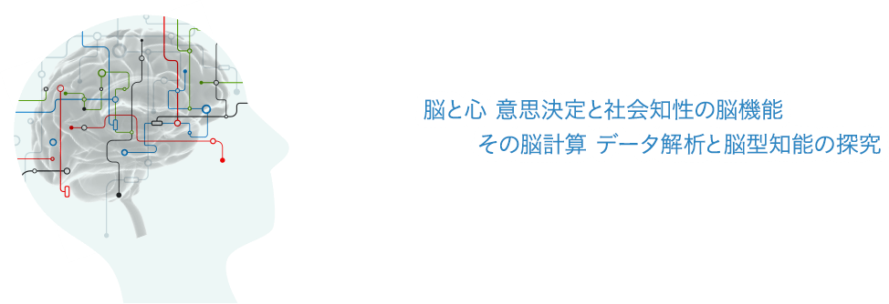 ラボテーマ：脳と心 意思決定と社会知性の脳機能 その能計算 データ解析と脳型知能の探求
