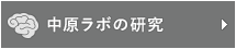 中原ラボの研究