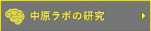 中原ラボの研究