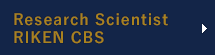 Research Scientist, RIKEN BSI